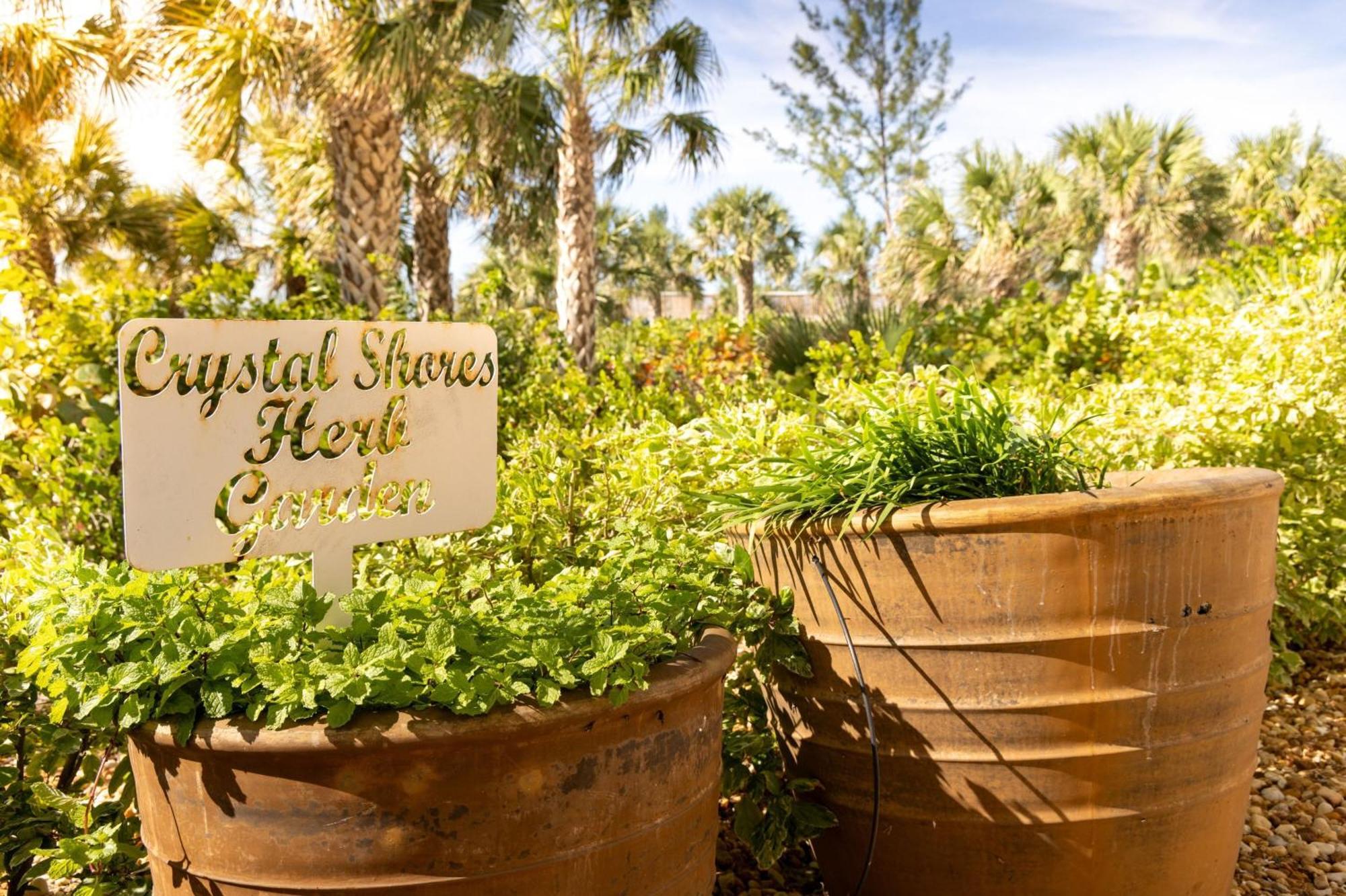 Marriott'S Crystal Shores Marco Island Exterior foto